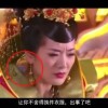 …天齐网保真总汇